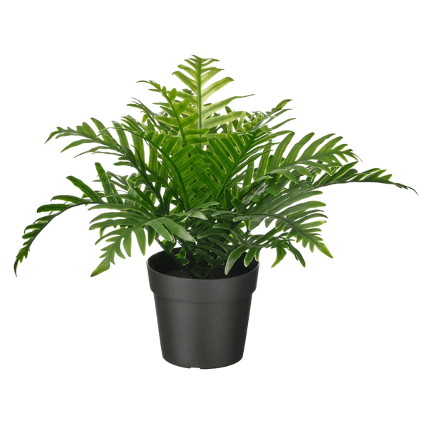 Artificial Potted Plants Whitley Giant 9Cm